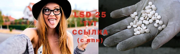 ПСИЛОЦИБИНОВЫЕ ГРИБЫ Пролетарск