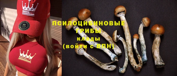 первитин Протвино