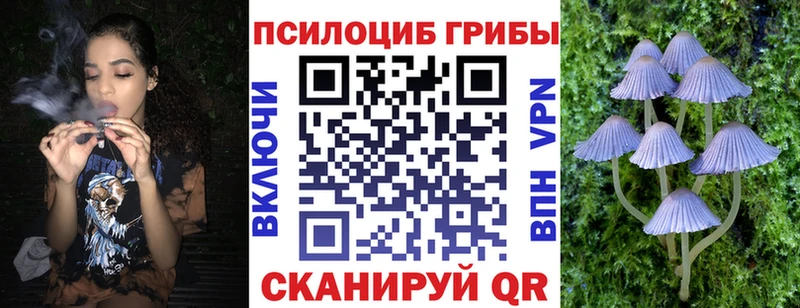 Галлюциногенные грибы мицелий  Сольвычегодск 