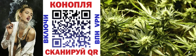 Марихуана OG Kush  Сольвычегодск 